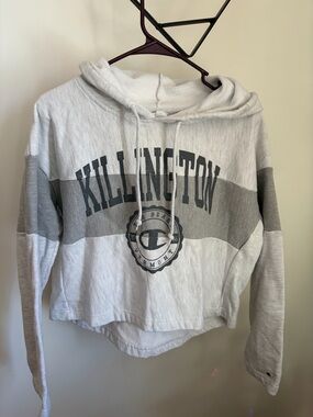 Champion Gray & White Killington Hooded Cropped Sweatshirt